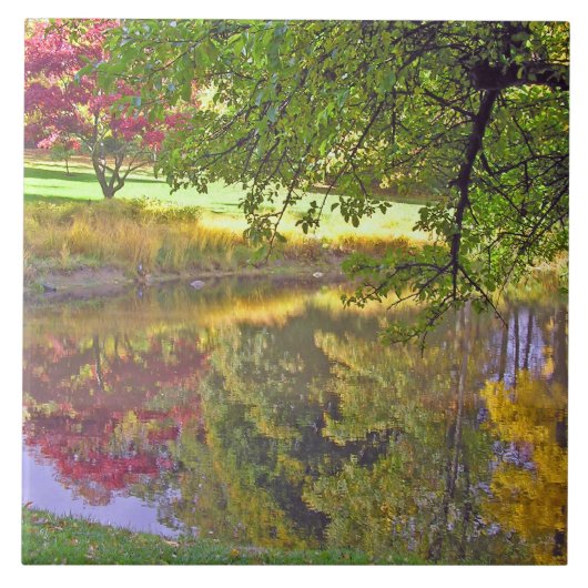 陶磁器タイル/池に映る美しい色 タイル (正面)
