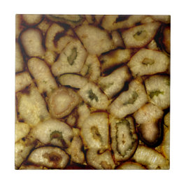 陶緑石英石灰 タイル