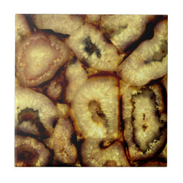 陶緑石英石灰 タイル