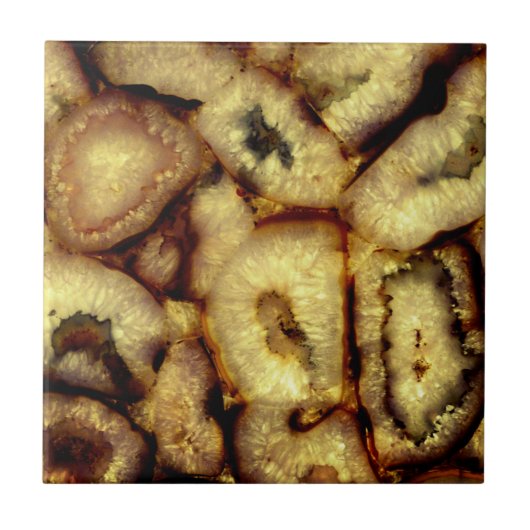 陶緑石英石灰 タイル (正面)