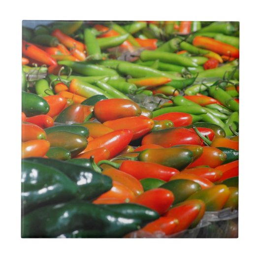 陶製カラフル鮮やかタイルとトライベ タイル (正面)