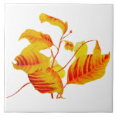 陶製離れタイル上のハナミズキ タイル (正面)