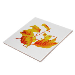 陶製離れタイル上のハナミズキ タイル