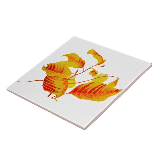 陶製離れタイル上のハナミズキ タイル (側面)