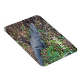 陸上ワニ マグネット (右側)