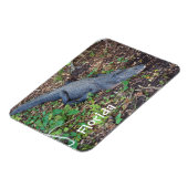 陸上ワニ マグネット (左側)