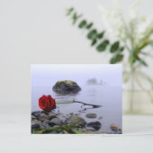 陸上洗浄された赤いバラ ポストカード (スタンド正面)