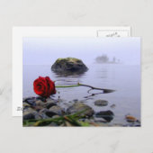 陸上洗浄された赤いバラ ポストカード (正面/裏面)