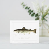 陸留のメスのサーモンまたはクアンティヘ ポストカード (スタンド正面)