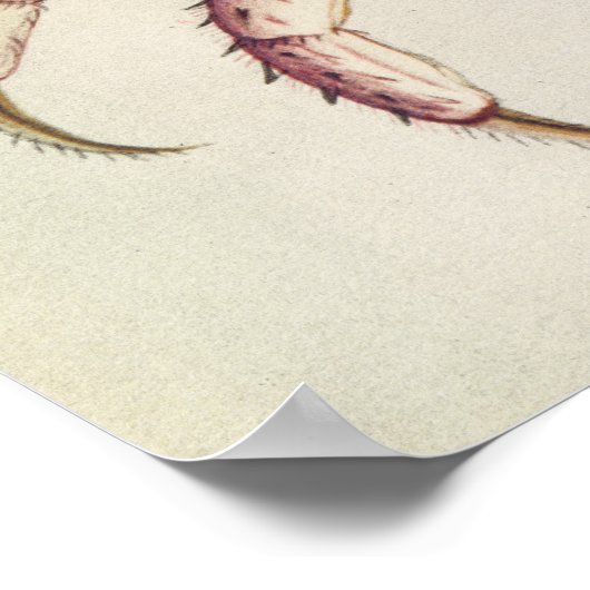 陸蟹 ポスター (角)