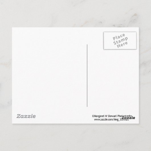 陸軍士官の定義 ポストカード (裏面)