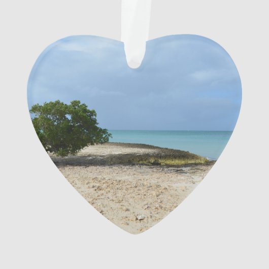 険しいアルバ オーナメント (裏面)