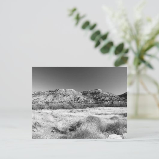 険しい土地 ポストカード (スタンド正面)