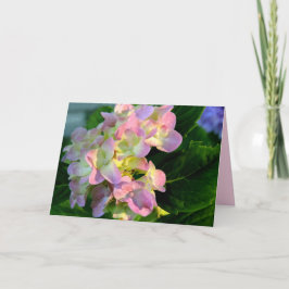 陽ざしのピンクの紫陽花の慰めカード カード