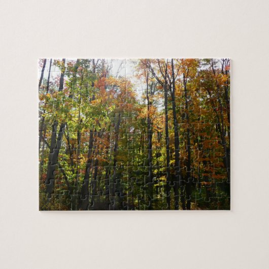 陽ざしの紅葉林 秋の風景 ジグソーパズル (横)