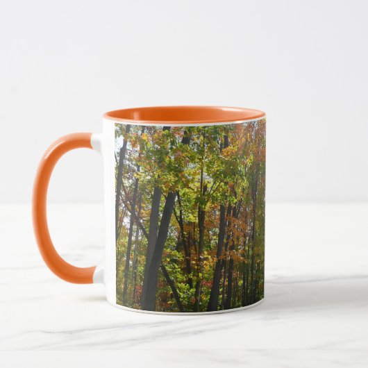 陽ざしの紅葉林 秋の風景 マグカップ (左)