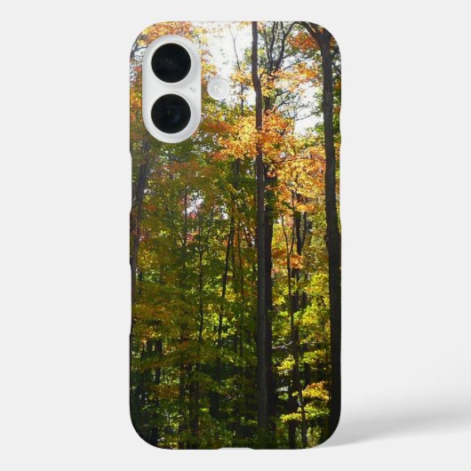 陽ざしの紅葉林 秋の風景 Case-Mate iPhoneケース (裏面)