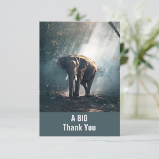 陽に照らされた森の中のアジアゾウありがとう サンキューカード (スタンド正面)