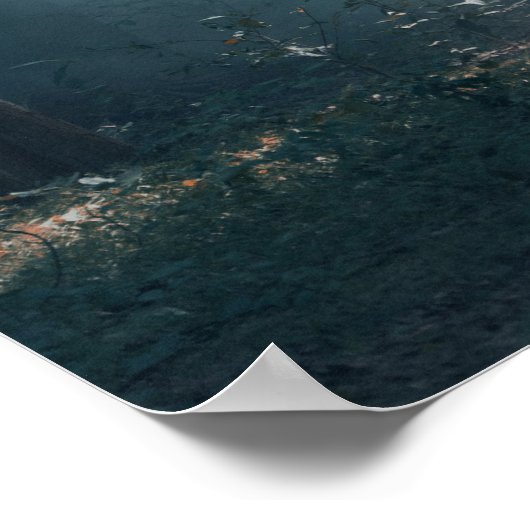 陽に照らされた森の中のアジアゾウ ポスター (角)