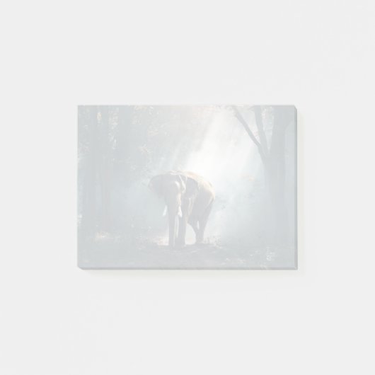 陽に照らされた森の中のアジアゾウ ポストイット (正面)