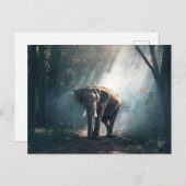 陽に照らされた森の中のアジアゾウ ポストカード (正面/裏面)