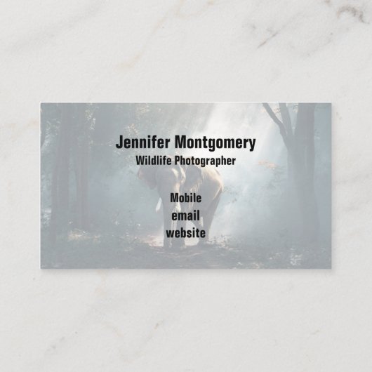 陽に照らされた森の中のアジアゾウ 名刺 (裏面)