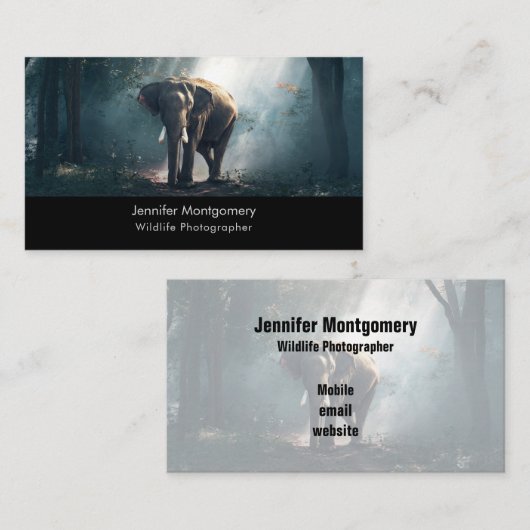 陽に照らされた森の中のアジアゾウ 名刺 (正面/裏面)