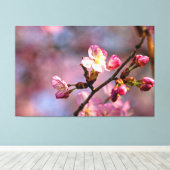 陽の光に照らされた桜の花と蕾 優しい日に キャンバスプリント (インサイチュ (ウッドフロア))