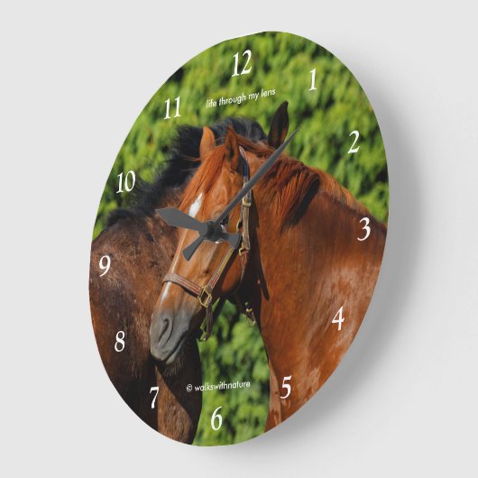 陽の光を浴びる二頭の美しい栗毛の馬 ラージ壁時計 (傾斜)