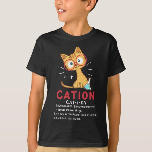 陽イオン科学おもしろい猫化学薬学科学 Tシャツ (正面)