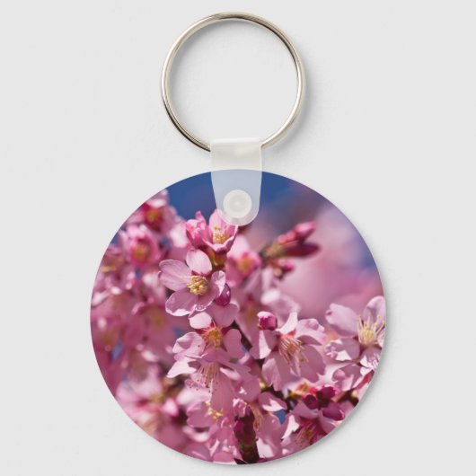 陽光にキスされたサクラの花 キーホルダー (正面)