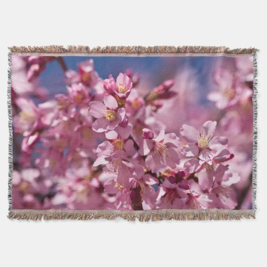 陽光にキスされた桜の花 スローブランケット (正面)