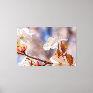陽光に照らされた白い桜の花とオレンジ色の葉 キャンバスプリント