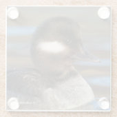 陽光に輝く水面の愛らしい小ガチョウ ガラスコースター (裏面)