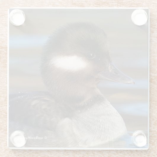 陽光に輝く水面の愛らしい小ガチョウ ガラスコースター (裏面)