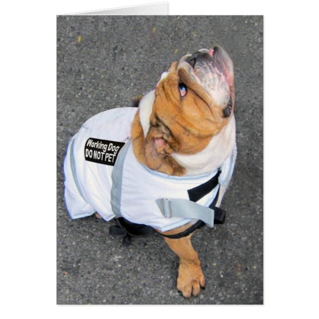 陽性を考えて下さい (正面)