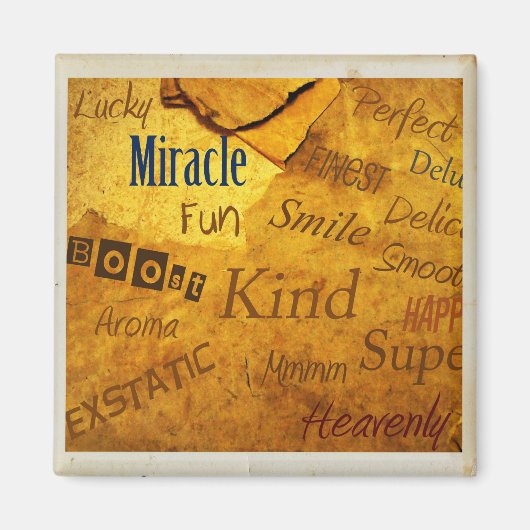 陽性ブーストマグネット! マグネット (正面)