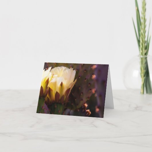 陽気で空白のなNotecard カード (正面)