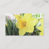 陽気で黄色いラッパスイセン 名刺 (裏面)