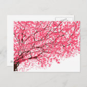 陽気なさくらんぼ花はがき ポストカード (正面/裏面)