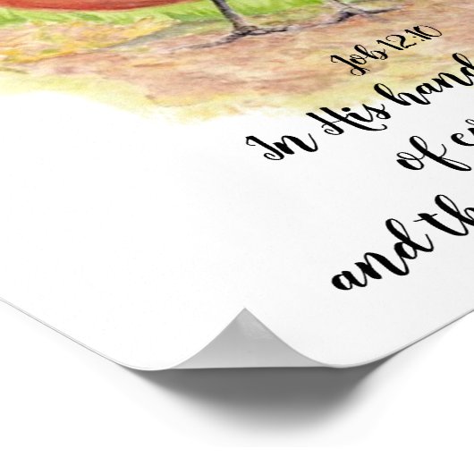 陽気なアメリカンロビンウォーターカラーバイブル聖なる書物、 経典 ポスター (角)