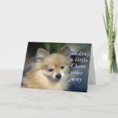 陽気なカード カード (正面)