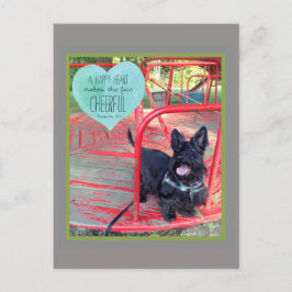 陽気なスマイルのポストカード シーズンポストカード