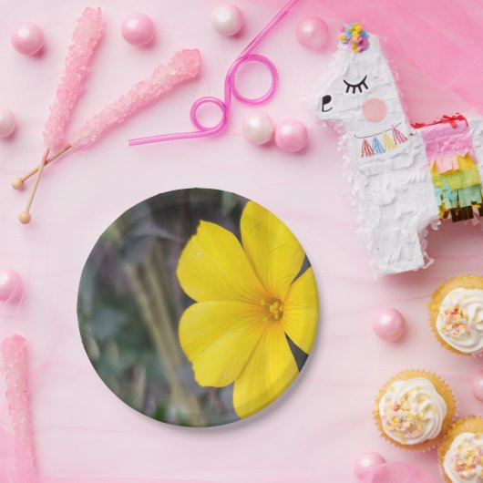 陽気なフローラパーティ用の使い捨てプレート ペーパープレート (パーティー)