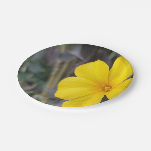 陽気なフローラパーティ用の使い捨てプレート ペーパープレート (アングル)