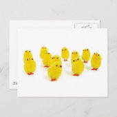 陽気な女の子が集まる俺たちのオフショット面白画像 ポストカード (正面/裏面)