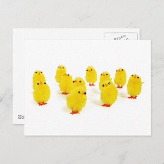 陽気な女の子が集まる俺たちのオフショット面白画像 ポストカード (正面/裏面)