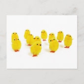 陽気な女の子が集まる俺たちのオフショット面白画像 ポストカード (正面)