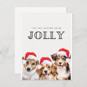 陽気な季節です シーズンカード (正面/裏面)