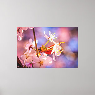 陽気な桜の花 キャンバスプリント
